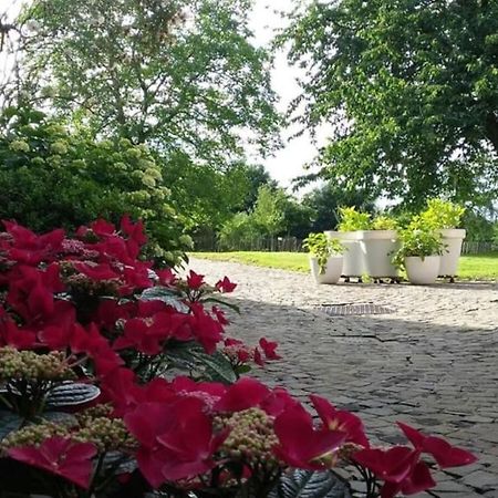 Country House Clos Des Hortensias Blegny Екстер'єр фото