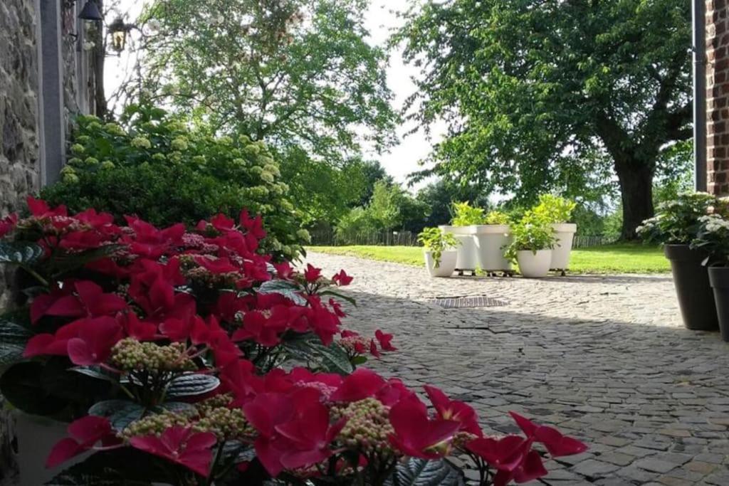 Country House Clos Des Hortensias Blegny Екстер'єр фото