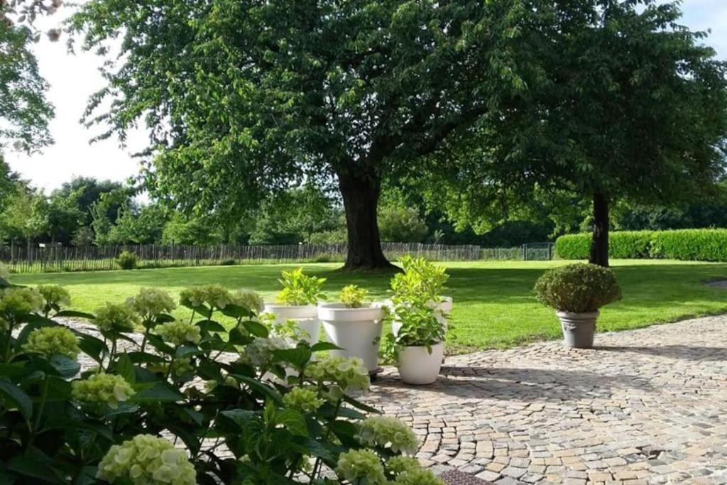 Country House Clos Des Hortensias Blegny Екстер'єр фото