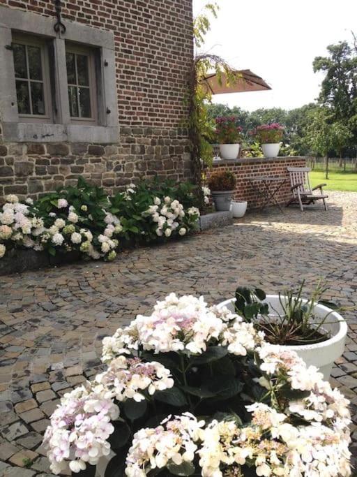 Country House Clos Des Hortensias Blegny Екстер'єр фото